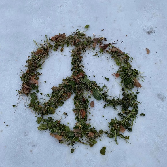 Meet your Posher, Helena - Picture 1 of 1